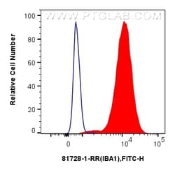 IBA1 Rabbit Recombinant Antibody, Proteintech