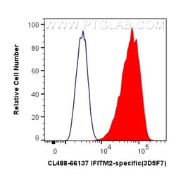 CoraLite Plus 488-conjugated IFITM2-specific Mouse Monoclonal Antibody,