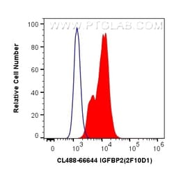 CoraLite Plus 488-conjugated IGFBP2 Mouse Monoclonal Antibody, Proteintech