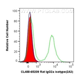 CoraLite Plus 488 Rat IgG2a Isotype Control (2A3), Proteintech CoraLite&trade;