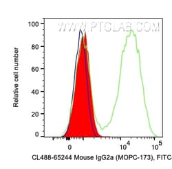 Proteintech CoraLite™ Plus 488 Mouse IgG2a Isotype Control (MOPC-173), Proteintech