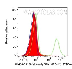 CoraLite™ Plus 488 Mouse IgG2b Isotype Control (MPC-11), Proteintech