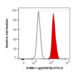 KDM1B Mouse Monoclonal Antibody, Proteintech Unconjugated; 20 &mu;L:Antibodies,