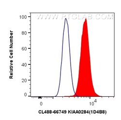 CoraLite Plus 488-conjugated KIAA0284 Mouse Monoclonal Antibody, Proteintech:Antibodies:Primary