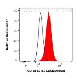 CoraLite Plus 488-conjugated LCK Mouse Monoclonal Antibody, Proteintech 20 &mu;L | Buy Online | Proteintech | Fisher Scientific