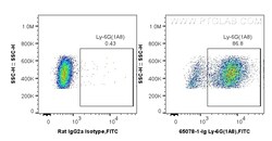 Anti-Mouse Ly-6G (1A8), Proteintech Unconjugated; 500 &mu;g:Antibodies,