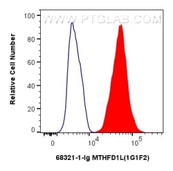 MTHFD1L Mouse Monoclonal Antibody, Proteintech Unconjugated; 150 &mu;L:Antibodies,