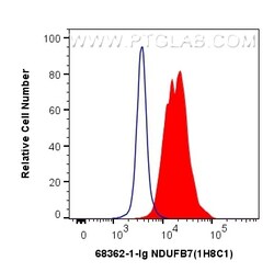NDUFB7 Mouse Monoclonal Antibody, Proteintech Unconjugated; 20 &mu;L:Antibodies,
