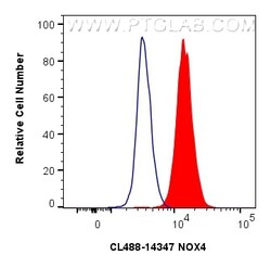 CoraLite Plus 488-conjugated NOX4 Rabbit Polyclonal Antibody, Proteintech:Antibodies:Primary