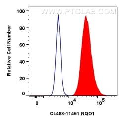 CoraLite Plus 488-conjugated NQO1 Rabbit Polyclonal Antibody, Proteintech