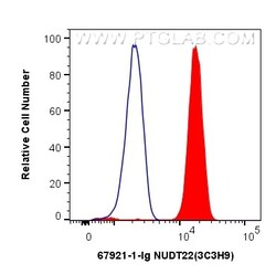 NUDT22 Mouse Monoclonal Antibody, Proteintech:Antibodies:Primary Antibodies