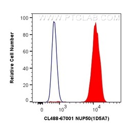 CoraLite Plus 488-conjugated NUP50 Mouse Monoclonal Antibody, Proteintech