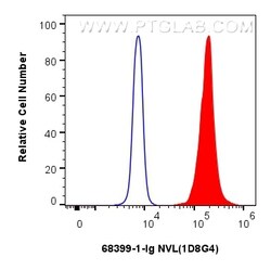 NVL Mouse Monoclonal Antibody, Proteintech Unconjugated; 20 &mu;L:Antibodies,