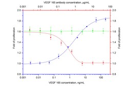 NeutraControl VEGF165 Mouse Monoclonal Antibody, Proteintech 100 &mu;g | Buy Online | Proteintech | Fisher Scientific