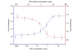 NeutraKine EPO Mouse Monoclonal Antibody, Proteintech Unconjugated; 100