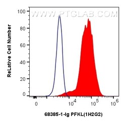 PFKL Mouse Monoclonal Antibody, Proteintech:Antibodies:Primary Antibodies