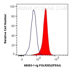 POLR3D Mouse Monoclonal Antibody, Proteintech:Antibodies:Primary Antibodies