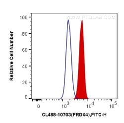 CoraLite Plus 488-conjugated PRDX4 Rabbit Polyclonal Antibody, Proteintech:Antibodies:Primary