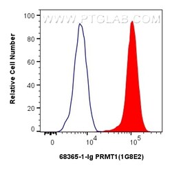PRMT1 Mouse Monoclonal Antibody, Proteintech 20 &mu;L | Buy Online | Proteintech | Fisher Scientific