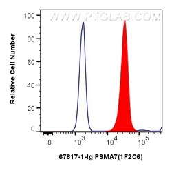 PSMA7 Mouse Monoclonal Antibody, Proteintech:Antibodies:Primary Antibodies