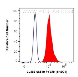CoraLite Plus 488-conjugated PYCR1 Mouse Monoclonal Antibody, Proteintech:Antibodies:Primary