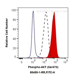 Phospho-AKT (Ser473) Rabbit Recombinant Antibody, Proteintech Unconjugated;