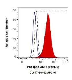 Phospho-AKT1 (Ser473) Rabbit anti-Human, Mouse, CoraLite 647, Clone: 2M10, Proteintech