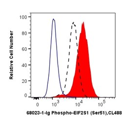 Phospho-EIF2S1 (Ser51) Mouse Monoclonal Antibody, Proteintech:Antibodies:Primary