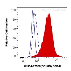 Phospho-GSK3B (Ser9) Mouse anti-Human, CoraLite 594, Clone: 1C9E2, Proteintech:Antibodies:Primary