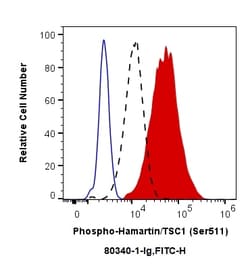 Phospho-Hamartin/TSC1 (Ser511) Rabbit Recombinant Antibody, Proteintech:Antibodies:Primary