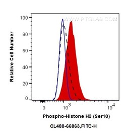 CoraLite Plus 488-conjugated Phospho-Histone H3 (Ser10) Mouse Monoclonal