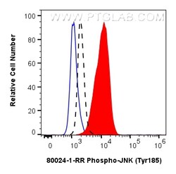 Phospho-JNK (Tyr185) Rabbit Recombinant Antibody, Proteintech:Antibodies:Primary