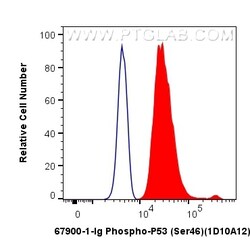 Phospho-P53 (Ser46) Mouse Monoclonal Antibody, Proteintech Unconjugated;