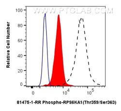 Phospho-RPS6KA1 (Thr359/Ser363) Rabbit Recombinant Antibody, Proteintech
