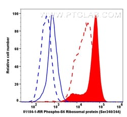 Phospho-S6 Ribosomal protein (Ser240/244) Rabbit Recombinant Antibody,