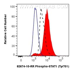 Phospho-STAT1 (Tyr701) Rabbit Recombinant Antibody, Proteintech:Antibodies:Primary