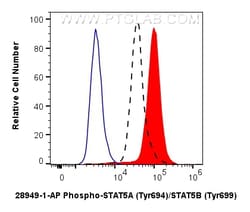 Phospho-STAT5A (Tyr694)/STAT5B (Tyr699) Rabbit Polyclonal Antibody, Proteintech:Antibodies:Primary