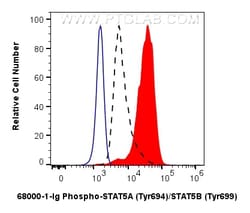 Phospho-STAT5A (Tyr694)/STAT5B (Tyr699) Mouse Monoclonal Antibody, Proteintech:Antibodies:Primary