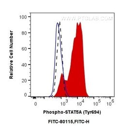 Phospho-STAT5A (Tyr694) Rabbit anti-Human, FITC, Clone: 2P21, Proteintech