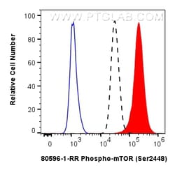 Phospho-mTOR (Ser2448) Rabbit Recombinant Antibody, Proteintech:Antibodies:Primary