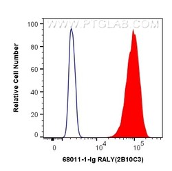 RALY Mouse Monoclonal Antibody, Proteintech Unconjugated; 20 &mu;L:Antibodies,