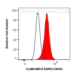 CoraLite Plus 488-conjugated RARS Mouse Monoclonal Antibody, Proteintech