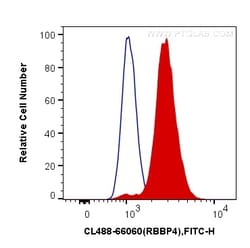 Proteintech CoraLite™ Plus 488-conjugated RBAP48 Mouse Monoclonal Antibody, Proteintech