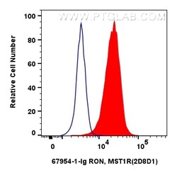 RON, MST1R Mouse Monoclonal Antibody, Proteintech Unconjugated; 20 &mu;L:Antibodies,