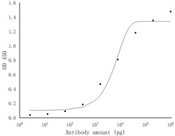 SARS-COV-2 NSP1 Rabbit Polyclonal Antibody, Proteintech Unconjugated; 20