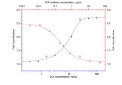 NeutraKine SCF Mouse anti-Human, Clone: 1B3C4, Proteintech 100 &mu;g; Unconjugated:Antibodies,