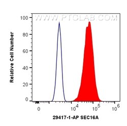SEC16A Rabbit Polyclonal Antibody, Proteintech Unconjugated; 150 &mu;L:Antibodies,