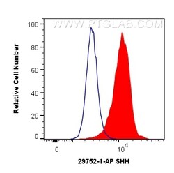 SHH Rabbit Polyclonal Antibody, Proteintech Unconjugated; 150 &mu;L:Antibodies,