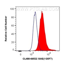 CoraLite Plus 488-conjugated SIAE Mouse Monoclonal Antibody, Proteintech