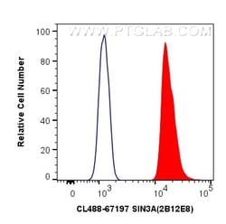 CoraLite Plus 488-conjugated SIN3A Mouse Monoclonal Antibody, Proteintech:Antibodies:Primary